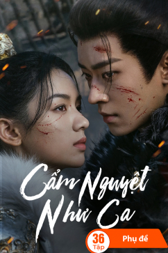 Cẩm Nguyệt Như Ca