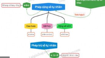 Toán 6: Cộng trừ nhân chia trong tập hợp số tự nhiên_OLM