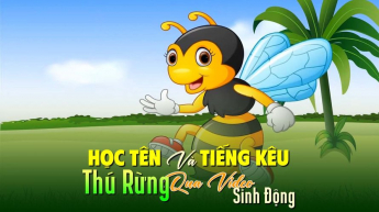 Học Tên Và Tiếng Kêu Thú Rừng Qua Video Sinh Động