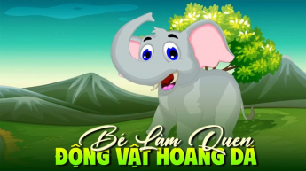 Bé Làm Quen Động Vật Hoang Dã